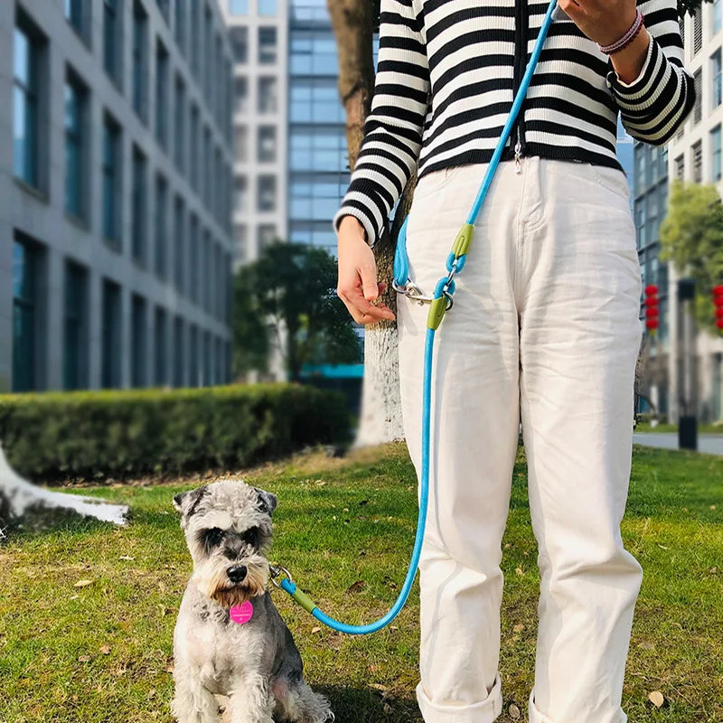 Hands-Free Leash with Reflective Band